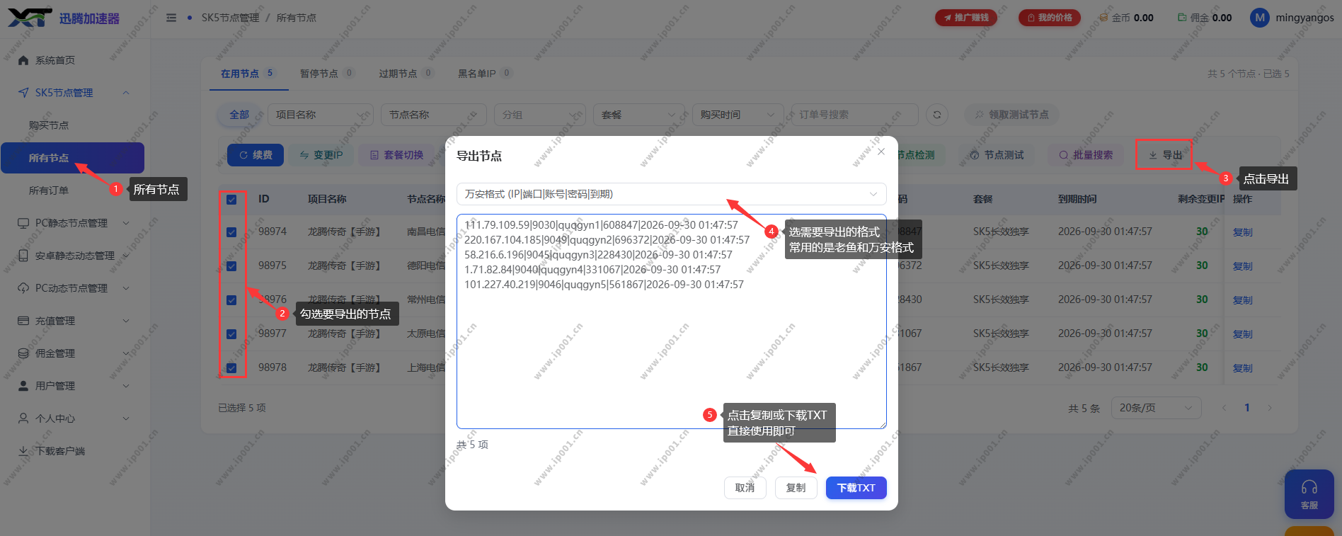 迅腾加速器节点导出截图